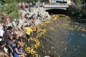 duckrace