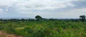 IMG_1320