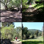 Trail[1]
