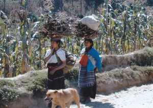 Women carrying wood in the highlands of Guatemala