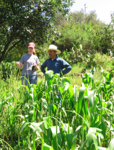 Screen Shot 2015-11-20 at 3.30.18 PM