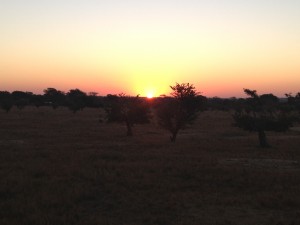 A reticent sun