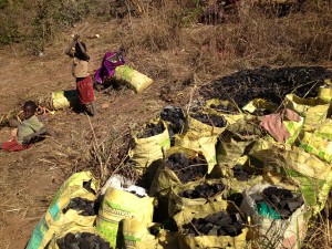 Children playing with charcoal in Nakabwe