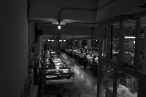 IMG_0426 copy