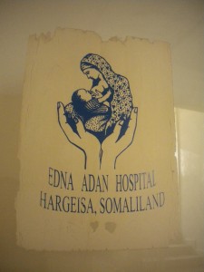 DSCN6384