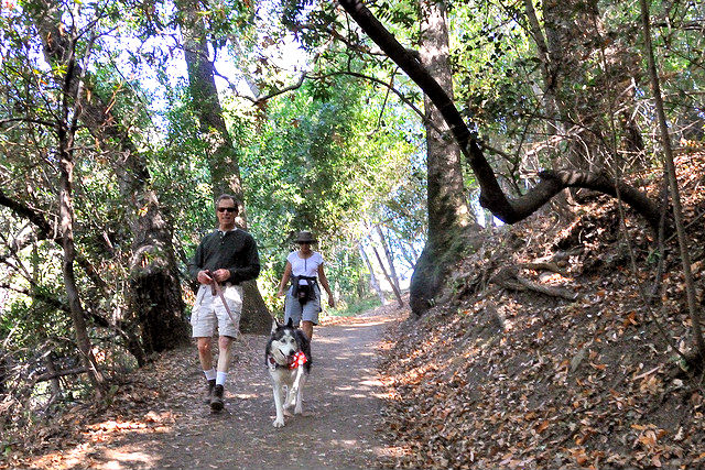 vasona-trail