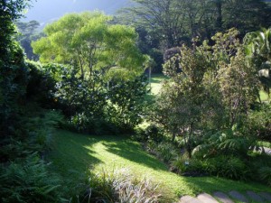 Native Hawaiian Garden