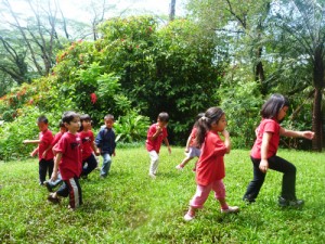 Preschoolers at the Lyon Arboretum