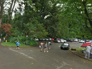 Manoa Falls Trail Head