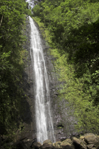 Manoa Falls