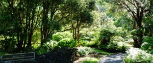 Ethnobotanical Garden
