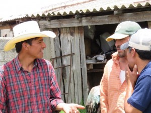 Sistema 4