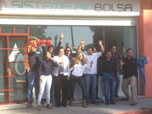 Sistema 5