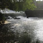 Vasona dam