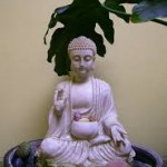 buddha