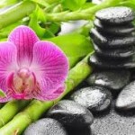 Naming and releasing