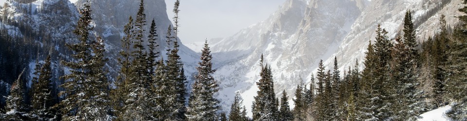 Anthony Iannitti's Blog