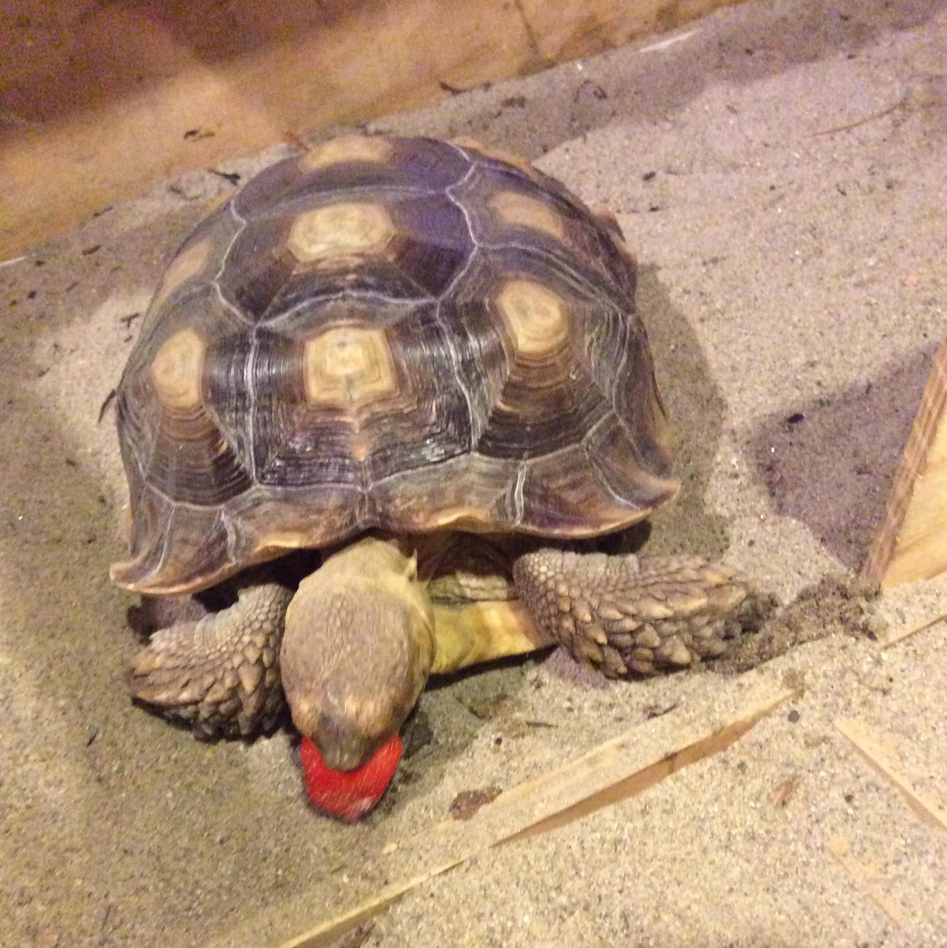 10683525_758143650900391_7045823081253180709_o