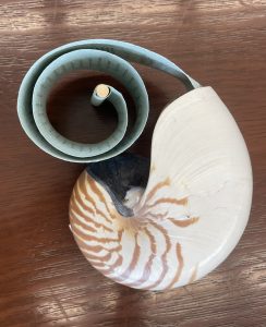 A blue scroll with text in a spiral, coming out of a shell.