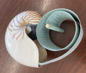 A blue scroll with text in a spiral, coming out of a shell.