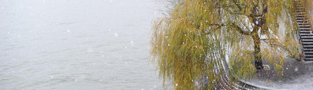 Truckee Riverwalk and Reno's Struggle with Poverty
