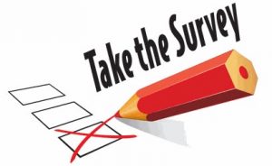 Student-Survey