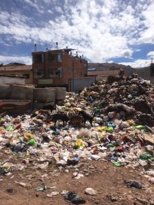 Piles of trash with stray dogs.