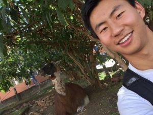 Selfie with a llama in the zoo at Universidad de San Antonio Abad del Cusco