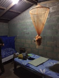 My first night under the mosquito net