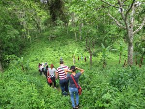The beautiful greens of Nicaragua.