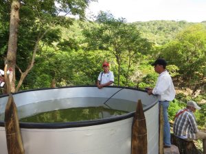 A water storage tank for irrigation.