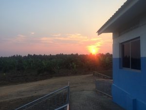 The last sunset at Bana HQ.