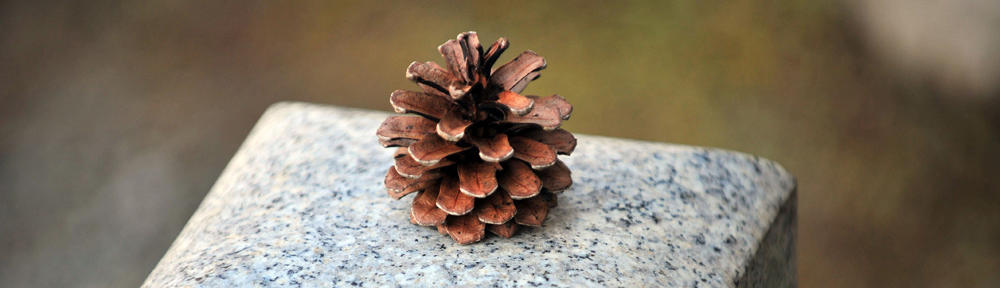 David J. Popalisky's Projects in Motion