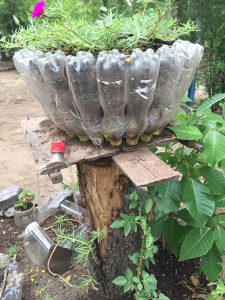 bottles