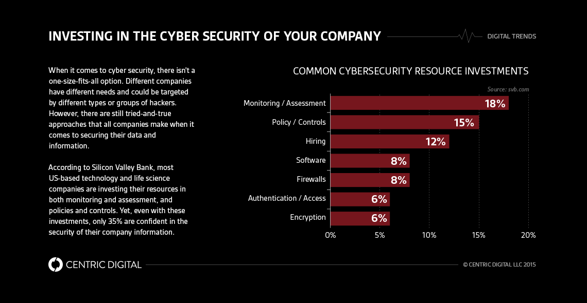 Cyber security Invesment