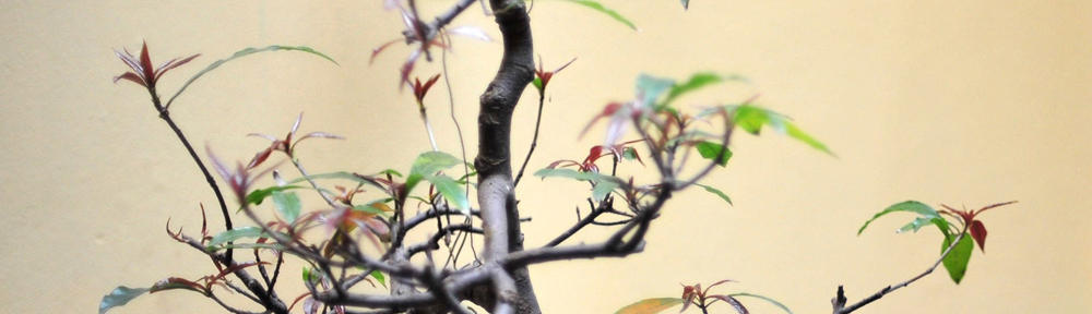 Internet Culture in the Information Society-Englis