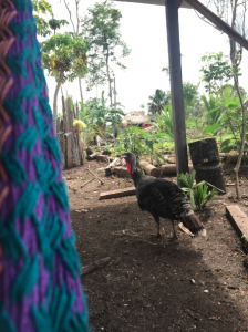 At the house of Elisabeth in Chilan Balan