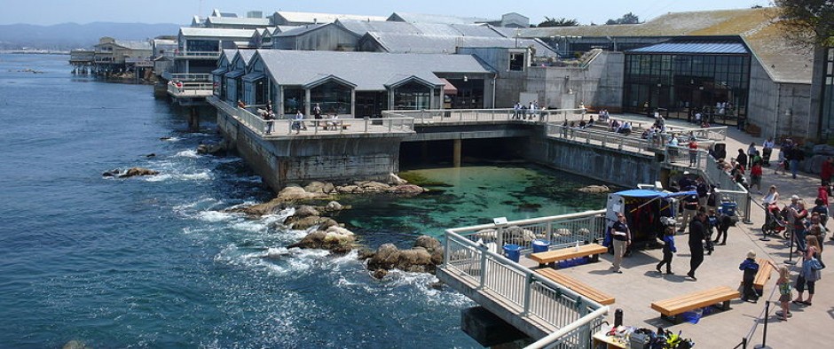 Monterey Bay Aquarium Podcast Tour