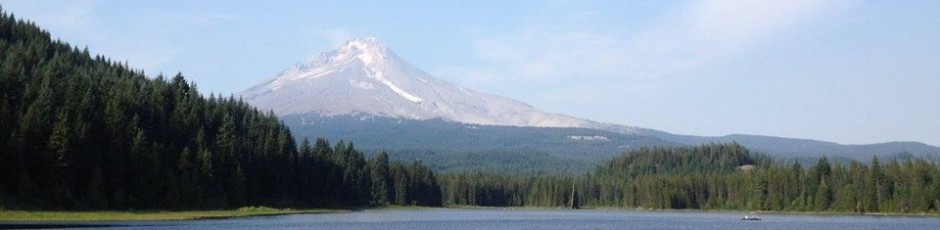 Misja Ilcisin's GSBF Blog