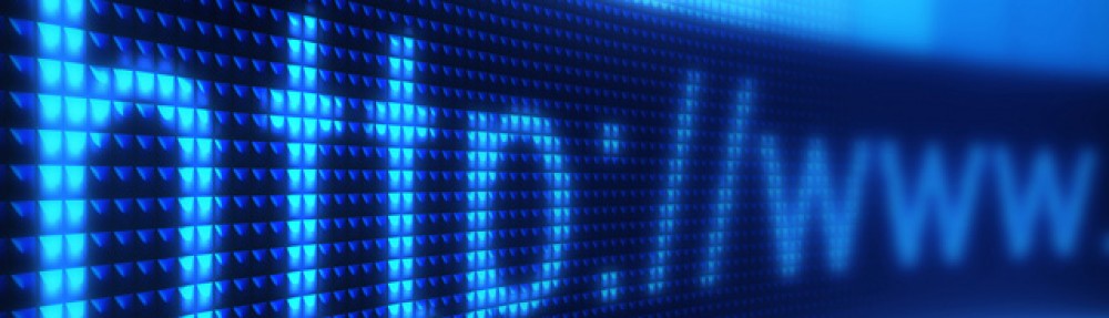 Internet Culture in the Information Society