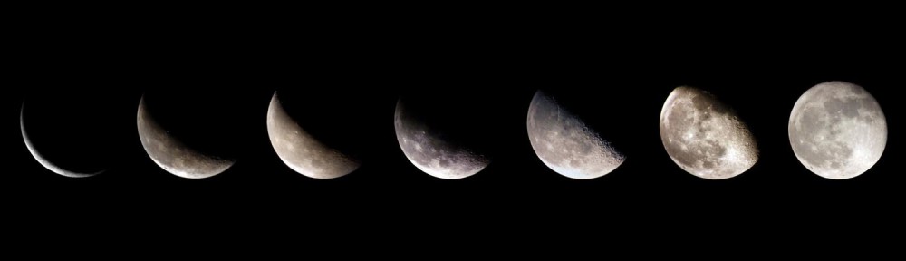 Better Nate Than Lever