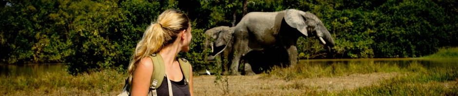 Ntesie – Mate Masie 