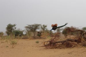 I wouldn't have expected to see peacocks in the desert, but they are certainly a very pleasant surprise.
