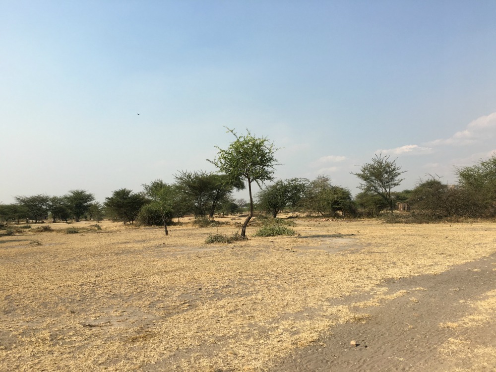 The landscape of Babati
