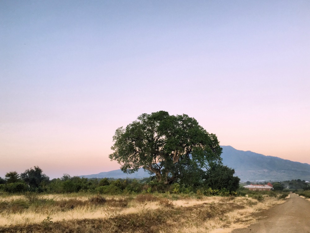 We landed in Tanzania around sunset.